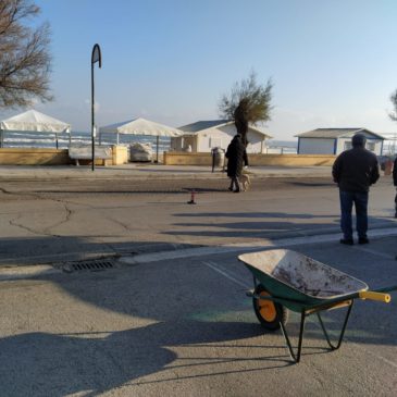 A MARZOCCA VOLONTARI PULISCONO LA SPIAGGIA