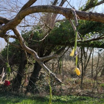 A PESARO L’ALBERO PER LE VITTIME DEL COVID