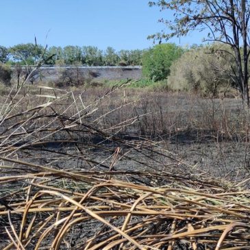 A SENIGALLIA MAXI INCENDIO LAMBISCE LE ABITAZIONI