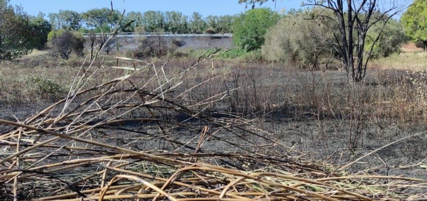 A SENIGALLIA MAXI INCENDIO LAMBISCE LE ABITAZIONI