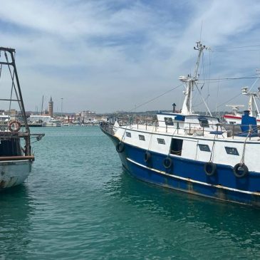 I PESCHERECCI TORNANO IN MARE, MA NON A CIVITANOVA