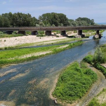 SICCITA’, ALLERTA FIUMI