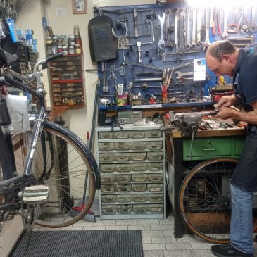 A SAN BENEDETTO DEL TRONTO UNA PIANTA BUCA LE GOMME DELLE BICI