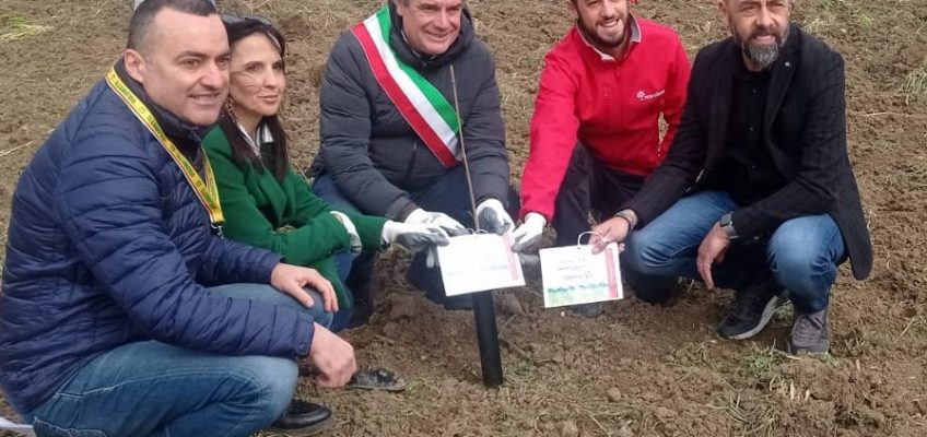 A FANO NASCE UN BOSCO URBANO NEL CUORE DELLA ZONA ARTIGIANALE