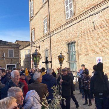 DOMENICA DELLE PALME NELLE MARCHE