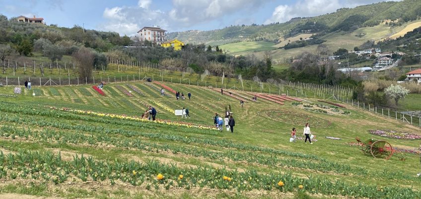 DOMENICA TRA I TULIPANI