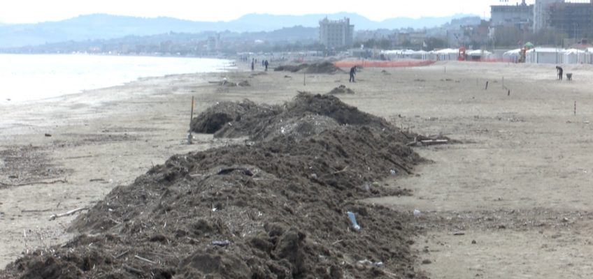 ARRIVA L’ESTATE MA A SENIGALLIA LE SPIAGGE NON SONO PULITE: “CHI HA COMPETENZA DEVE RISOLVERE” IN CORO I BALNEARI