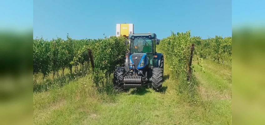 AL VIA LA VENDEMMIA 2023