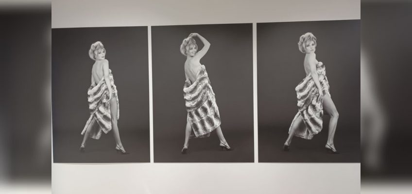 MOSTRA DEDICATA A VIRNA LISI