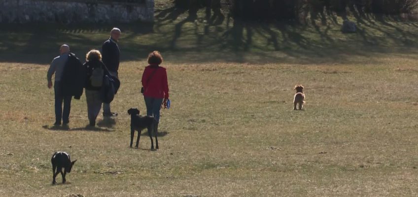 AL SAN VICINO DOMENICA BACIATA DAL SOLE