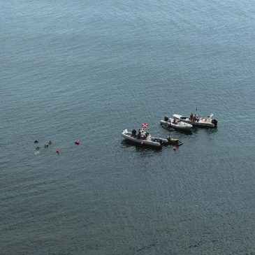 ANCONA, SUB PULISCONO I FONDALI DEL PASSETTO