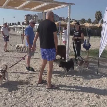 A Civitanova Marche in spiaggia con Fido