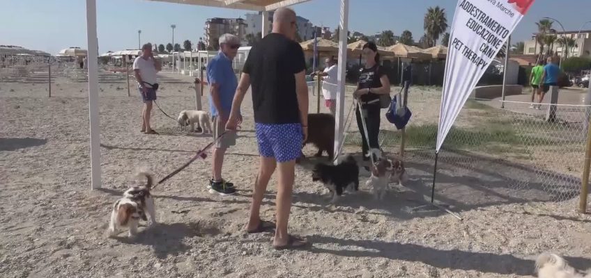 A Civitanova Marche in spiaggia con Fido