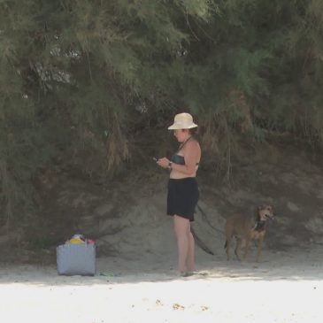 SAN BENEDETTO APRE LA SUA PRIMA SPIAGGIA PER ANIMALI