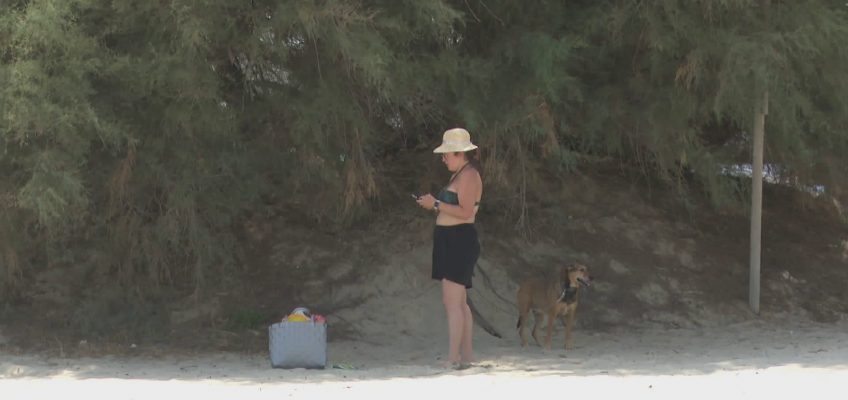 SAN BENEDETTO APRE LA SUA PRIMA SPIAGGIA PER ANIMALI