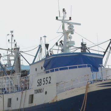 LA CRISI ESTIVA DEI PESCATORI DEL SUD DELLE MARCHE