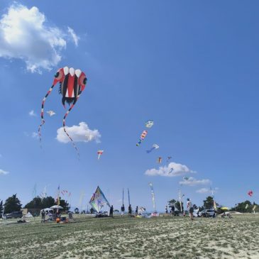 A URBINO IL CIELO SI COLORA CON  LA FESTA DELL’AQUILONE