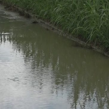 MALTEMPO, I DANNI FRA ANCONA E LA RIVIERA DEL CONERO