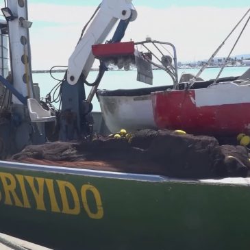 A SAN BENEDETTO AFFONDA UNA LAMPARA, MUORE UN PESCATORE DI 60 ANNI