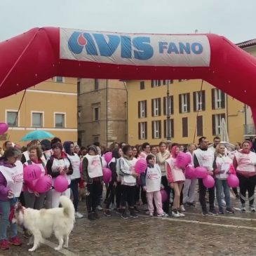 A FANO CONTRO IL TUMORE AL SENO TORNA LA CAMMINATA ROSA