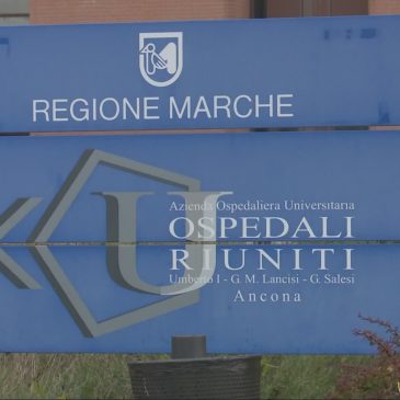 torrette ospedale cinghiali