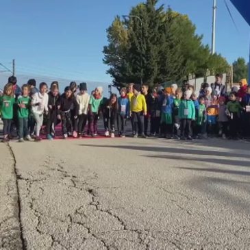 FALCONARA DI CORSA CON LA MARCIALONGA D’AUTUNNO