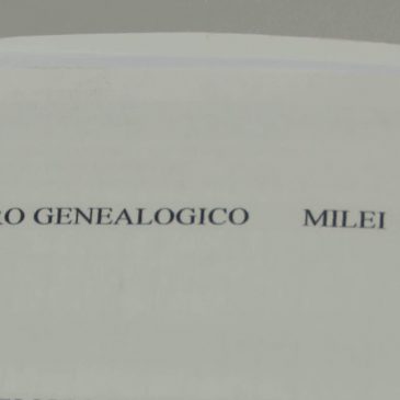 IL BISNONNO DEL PRESIDENTE ARGENTINO MILEI E’ DI SAN SEVERINO