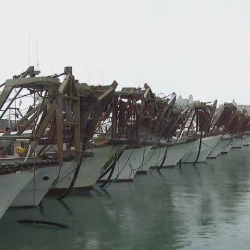 VONGOLE GATE, I PESCATORI TRA DUE MARI