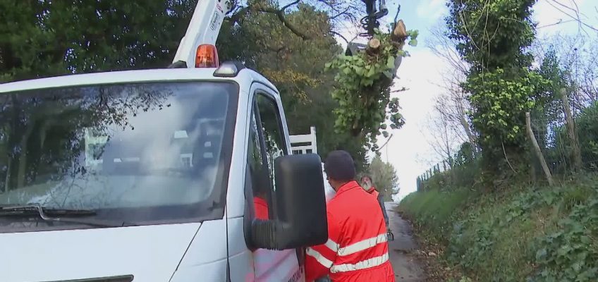 Danni e maltempo, albero piomba sulla palazzina