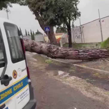 TEMPESTA DI VENTO SULLE MARCHE