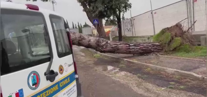 TEMPESTA DI VENTO SULLE MARCHE