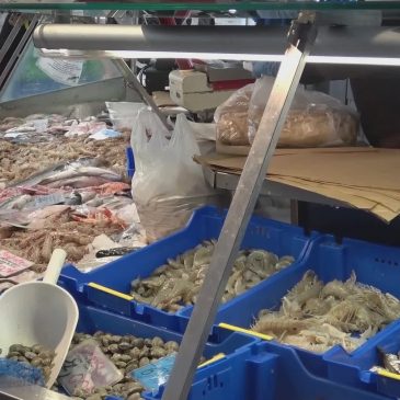 VIGILIA AL MERCATO DEL PESCE