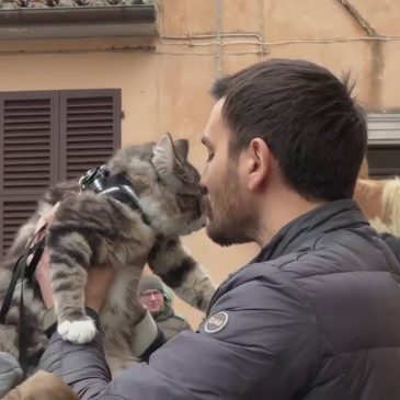 MONTE ROBERTO, LA BENEDIZIONE DI SANT’ANTONIO AGLI ANIMALI