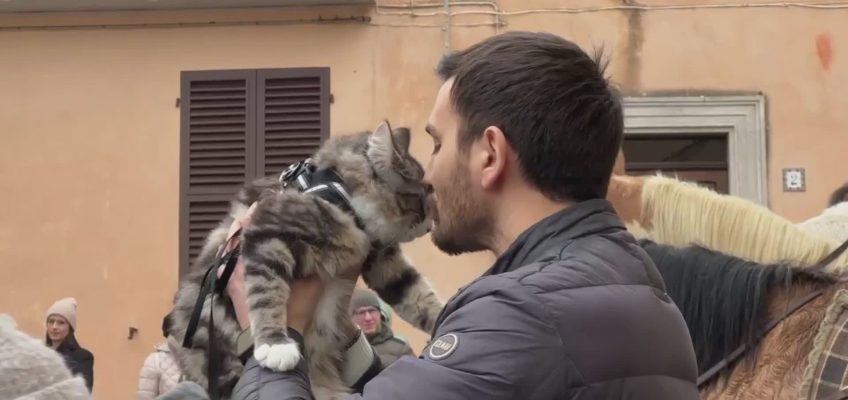 MONTE ROBERTO, LA BENEDIZIONE DI SANT’ANTONIO AGLI ANIMALI