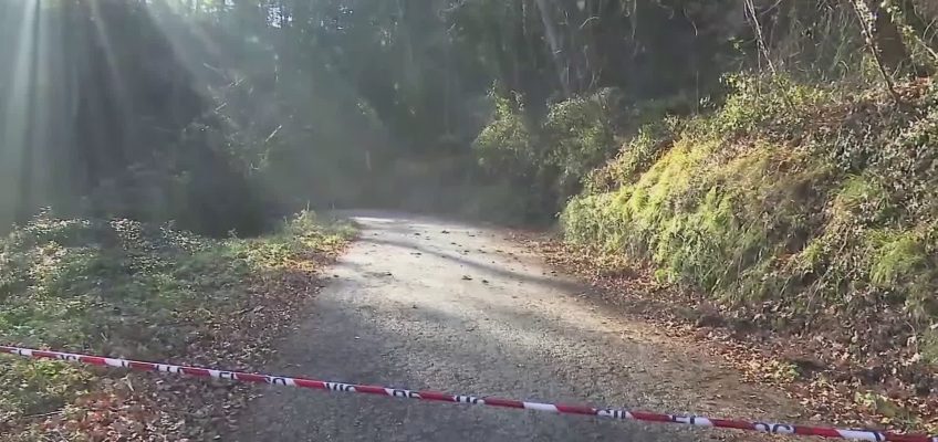 ROTELLA, MUORE SUL LAVORO SCHIACCIATO DA UN ALBERO