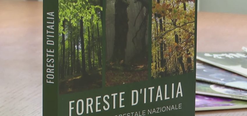 LE ATTIVITA’ 2024 DEI CARABINIERI FORESTALI DELLE MARCHE